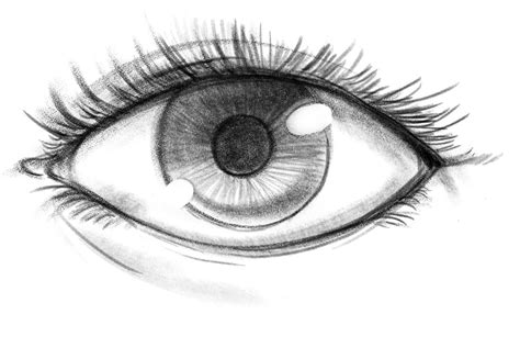 簡單眼睛|如何畫出逼真的眼睛｜素描教學 How to Draw Eyes ..